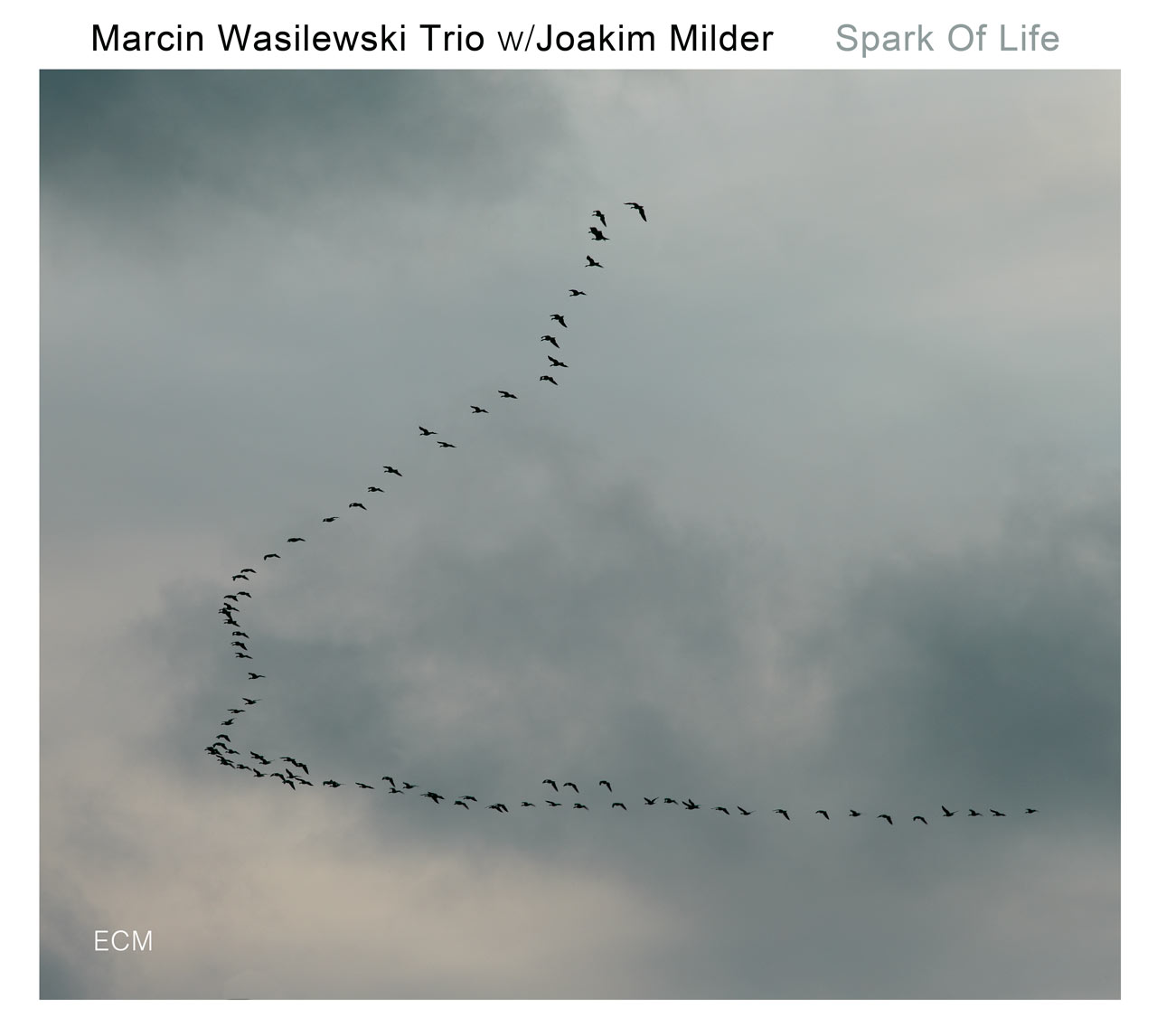 CD Cover Marcin Masilewski - Spark of Life